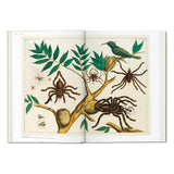 Seba._Cabinet_of_Natural_Curiosities_German_French_English_Jimmy_Delaurentis_5