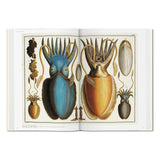 Seba._Cabinet_of_Natural_Curiosities_German_French_English_Jimmy_Delaurentis_7