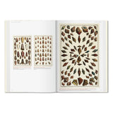 Seba._Cabinet_of_Natural_Curiosities_German_French_English_Jimmy_Delaurentis_8