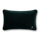 What_the_Hell_Needlepoint_Pillow_Jimmy_Delaurentis_4