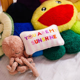 You_Are_My_Sunshine_Mini_Needlepoint_Pillow_Jimmy_Delaurentis_2