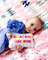 You_Are_My_Sunshine_Mini_Needlepoint_Pillow_Jimmy_Delaurentis_3