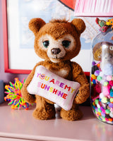 You_Are_My_Sunshine_Mini_Needlepoint_Pillow_Jimmy_Delaurentis_5