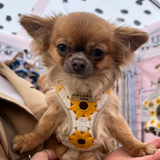 Sunflower Patch Adjustable Neck Harness: M