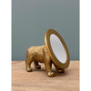 Dog mirror Woof