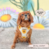 Sunflower Patch Adjustable Neck Harness: M
