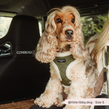 Khaki Quilted Adjustable Neck Harness: L