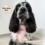 Luxe Adjustable Neck Harness - Baby Pink Heart: S