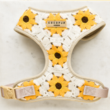 Sunflower Patch Adjustable Neck Harness: M