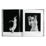 Walter Chandoha. Cats. Photographs 1942–2018 (German, French, English)