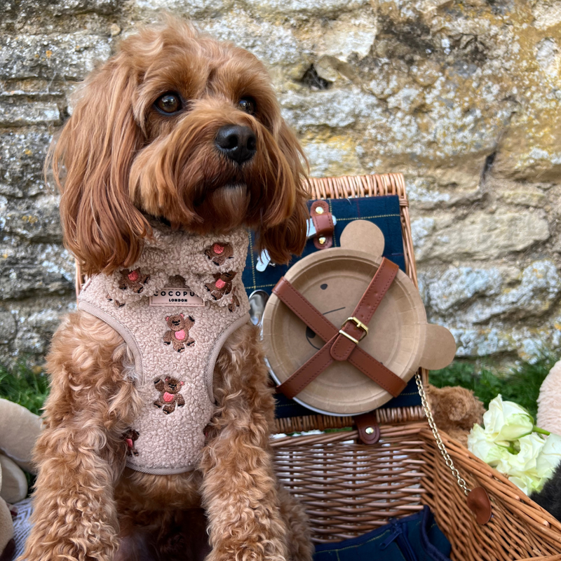 Theo Embroidered Teddy Adjustable Neck Harness: S