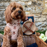 Theo Embroidered Teddy Adjustable Neck Harness: M