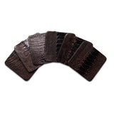 Ostrich Shin Coasters w/ Tie (s/6) - Brown