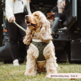 Khaki Quilted Adjustable Neck Harness: L