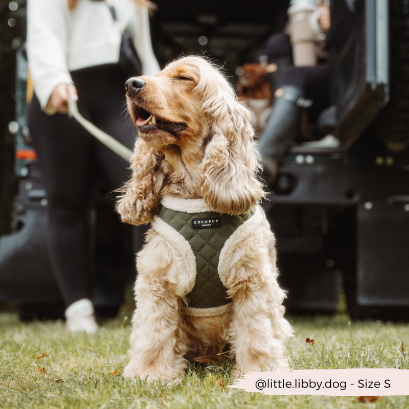 Khaki Quilted Adjustable Neck Harness: L
