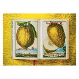 J. C. Volkamer. The Book of Citrus Fruits (German, French, English)