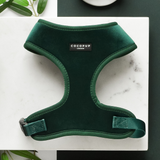 LUXE Velvet Adjustable Neck Harness - Forest Green: S