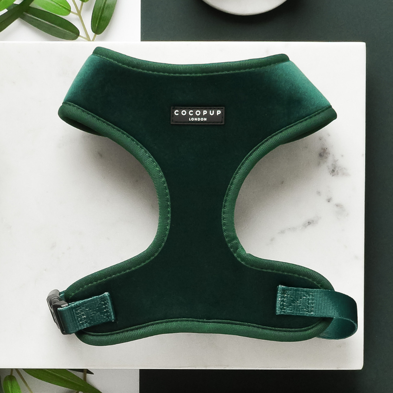 LUXE Velvet Adjustable Neck Harness - Forest Green: S