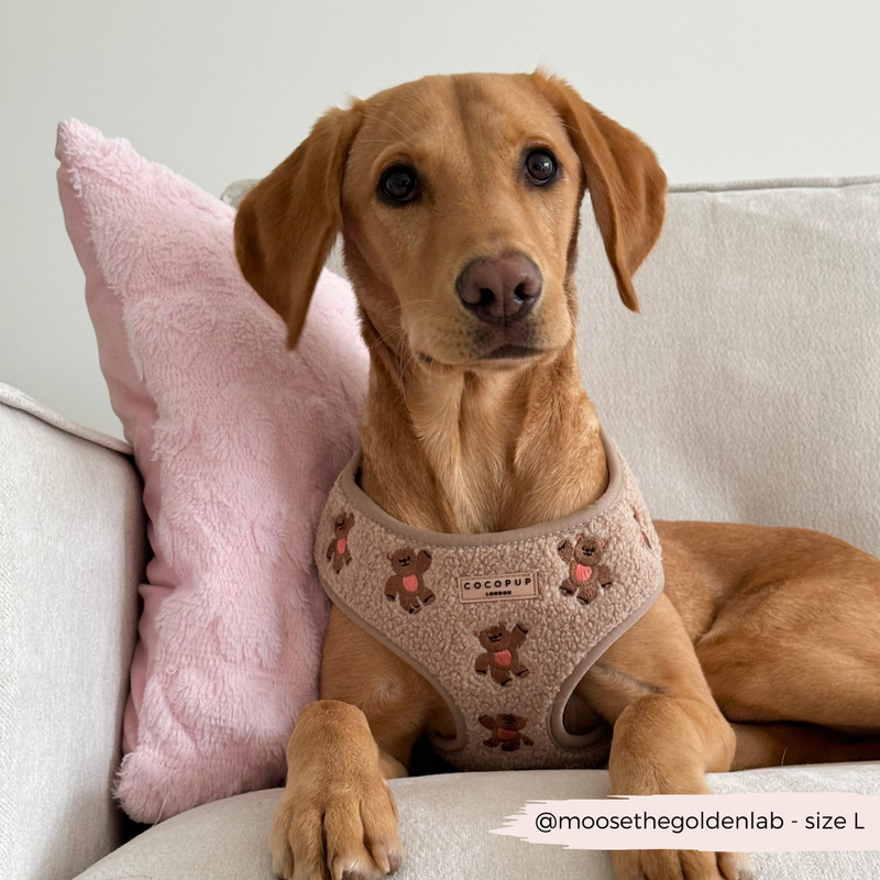 Theo Embroidered Teddy Adjustable Neck Harness: M