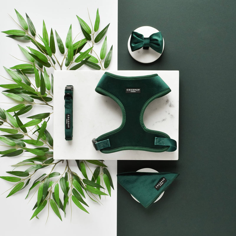 LUXE Velvet Adjustable Neck Harness - Forest Green: S