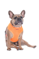 Freedom Harness Neon Orange – High-Quality Pet Gear for Dogs: XS