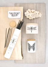 Citronella 3-Wick Candle, Sea Salt