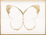 Butterfly Royale, Black 1 Framed