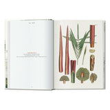 Martius. The Book of Palms. 45th Ed. (German, French, English)