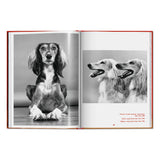 Walter Chandoha. Dogs. Photographs 1941–1991 (English)