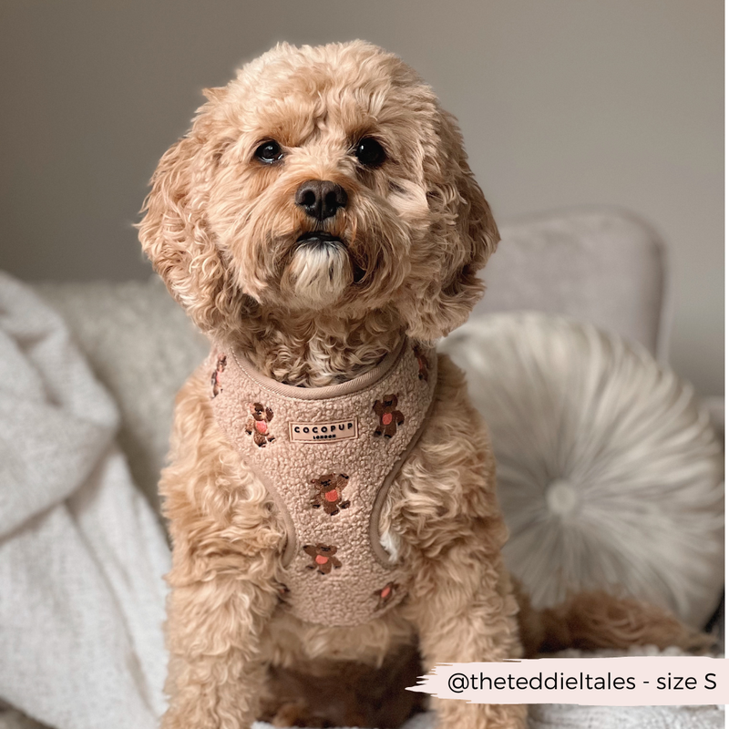 Theo Embroidered Teddy Adjustable Neck Harness: M
