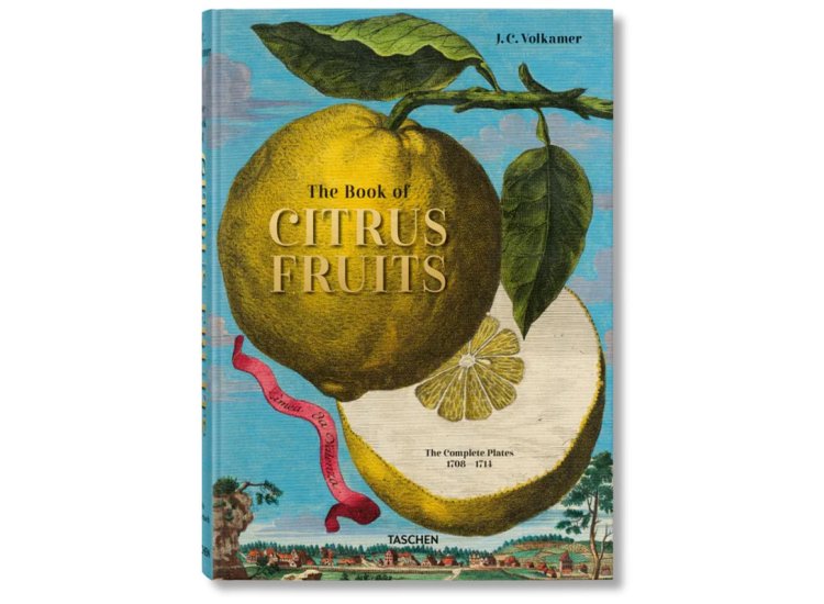 BOOK OF CITRUS FRUITS/SHOP OUR WINDOW/JIMMY DELAURENTIS HOME