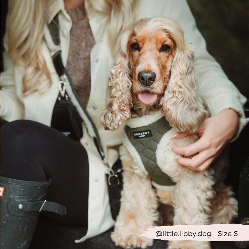 Khaki Quilted Adjustable Neck Harness: L
