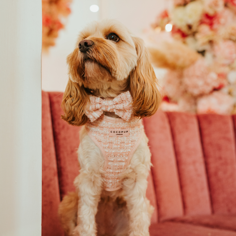 Pink Textured Tweed Adjustable Neck Harness: M