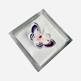 Cocktail Napkin Holder