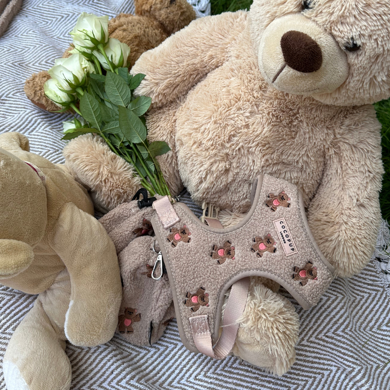Theo Embroidered Teddy Adjustable Neck Harness: M