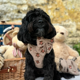 Theo Embroidered Teddy Adjustable Neck Harness: M