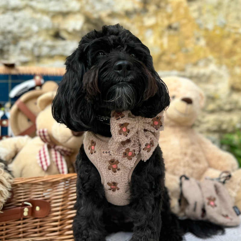 Theo Embroidered Teddy Adjustable Neck Harness: M