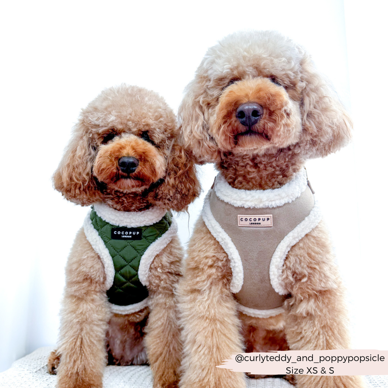 Khaki Quilted Adjustable Neck Harness: L
