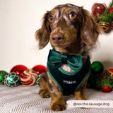 LUXE Velvet Adjustable Neck Harness - Forest Green: S