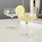 Seneca™ Faceted Crystal Coupes Set of 2