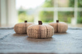 Fall Decor Book Pumpkin Cutie Halloween Decor Book Lover