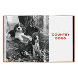 Walter Chandoha. Dogs. Photographs 1941–1991 (English)