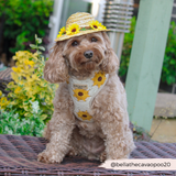 Sunflower Patch Adjustable Neck Harness: M