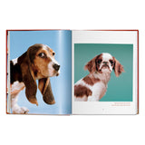 Walter Chandoha. Dogs. Photographs 1941–1991 (German, French, English)