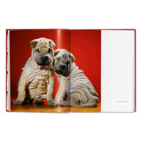 Walter Chandoha. Dogs. Photographs 1941–1991 (German, French, English)