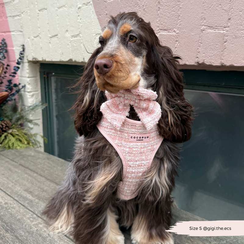 Pink Textured Tweed Adjustable Neck Harness: M